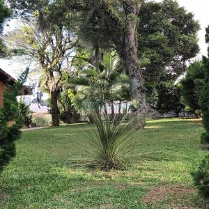 Casa com 410m², 3 dormitórios, no bairro Bela Vista em Caxias do Sul para Comprar