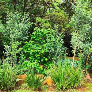 Casa Mobiliada com 100m², 3 dormitórios, 3 vagas, no bairro Linha 40 em Caxias do Sul para Comprar