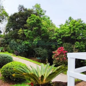 Casa Mobiliada com 100m², 3 dormitórios, 3 vagas, no bairro Linha 40 em Caxias do Sul para Comprar