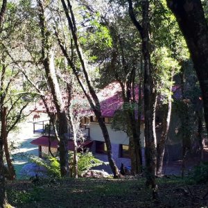 Casa com 200m², 5 dormitórios, 5 vagas, no bairro 3 Legua em Caxias do Sul para Alugar