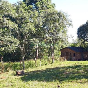 Casa com 200m², 5 dormitórios, 5 vagas, no bairro 3 Legua em Caxias do Sul para Alugar