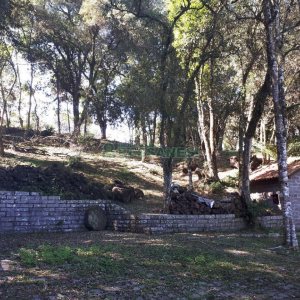 Casa com 200m², 5 dormitórios, 5 vagas, no bairro 3 Legua em Caxias do Sul para Alugar