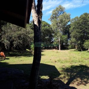 Casa com 200m², 5 dormitórios, 5 vagas, no bairro 3 Legua em Caxias do Sul para Alugar