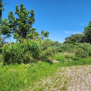 Terreno com 366m², no bairro Salgado Filho em Caxias do Sul para Comprar