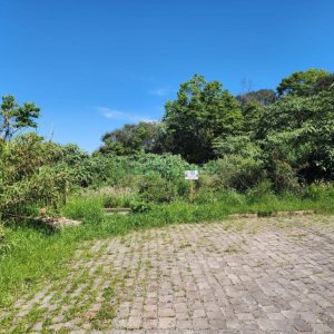 Terreno com 366m², no bairro Salgado Filho em Caxias do Sul para Comprar