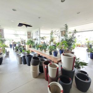 Loja com 360m², no bairro Sanvitto em Caxias do Sul para Alugar