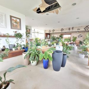 Loja com 360m², no bairro Sanvitto em Caxias do Sul para Alugar