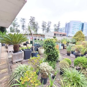 Loja com 360m², no bairro Sanvitto em Caxias do Sul para Alugar