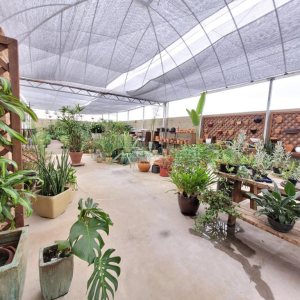 Loja com 360m², no bairro Sanvitto em Caxias do Sul para Alugar