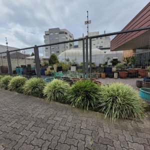 Loja com 360m², no bairro Sanvitto em Caxias do Sul para Alugar