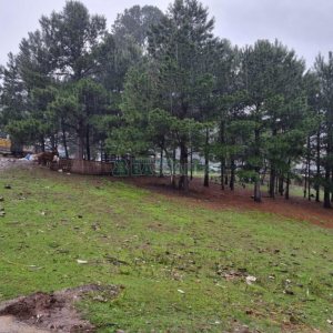Terreno com 5551m², no bairro Nossa Senhora do Rosário em Caxias do Sul para Comprar