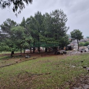 Terreno com 5551m², no bairro Nossa Senhora do Rosário em Caxias do Sul para Comprar