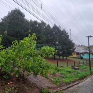 Terreno com 5551m², no bairro Nossa Senhora do Rosário em Caxias do Sul para Comprar