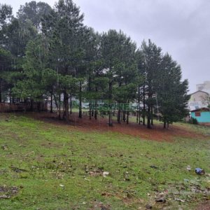Terreno com 5551m², no bairro Nossa Senhora do Rosário em Caxias do Sul para Comprar