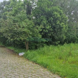 Terreno com 360m², no bairro Charqueadas em Caxias do Sul para Comprar