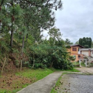 Terreno com 1787m², no bairro São Virgílio em Caxias do Sul para Comprar