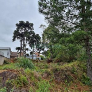 Terreno com 1787m², no bairro São Virgílio em Caxias do Sul para Comprar
