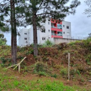 Terreno com 1787m², no bairro São Virgílio em Caxias do Sul para Comprar