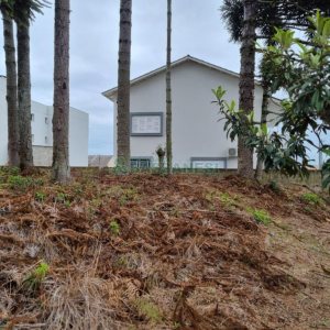 Terreno com 1787m², no bairro São Virgílio em Caxias do Sul para Comprar