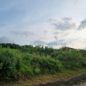 Terreno, no bairro Marechal Floriano em Caxias do Sul para Comprar