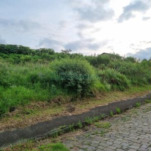 Terreno, no bairro Marechal Floriano em Caxias do Sul para Comprar