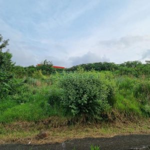 Terreno, no bairro Marechal Floriano em Caxias do Sul para Comprar