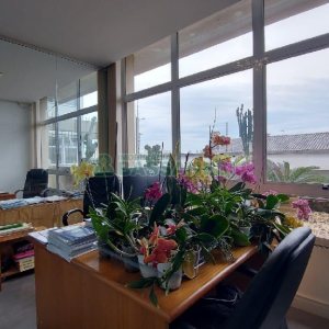 Predio com 600m², no bairro Cinqüentenário em Caxias do Sul para Alugar