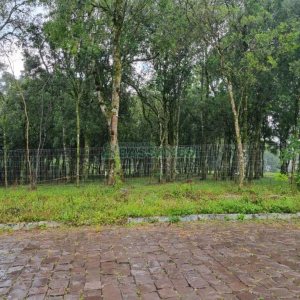 Terreno, no bairro Nossa Senhora do Rosário em Caxias do Sul para Comprar