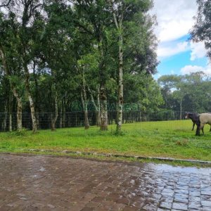 Terreno, no bairro Nossa Senhora do Rosário em Caxias do Sul para Comprar
