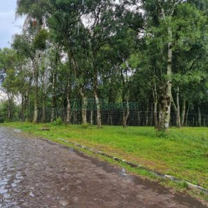 Terreno, no bairro Nossa Senhora do Rosário em Caxias do Sul para Comprar