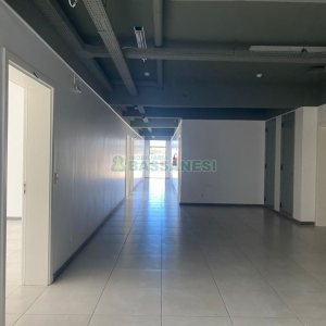 Sala com 797m², no bairro São Pelegrino em Caxias do Sul para Alugar
