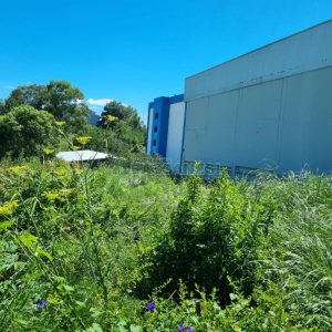 Terreno com 800m², no bairro Cinqüentenário em Caxias do Sul para Comprar