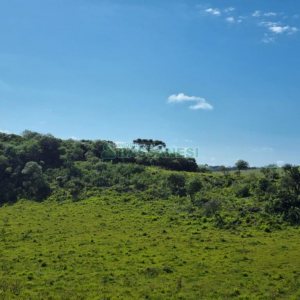 Chácara, no bairro Vila Seca em Caxias do Sul para Comprar