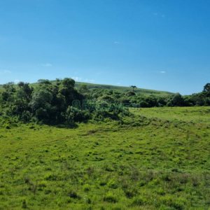 Chácara, no bairro Vila Seca em Caxias do Sul para Comprar