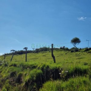 Chácara, no bairro Vila Seca em Caxias do Sul para Comprar