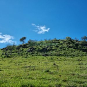 Chácara, no bairro Vila Seca em Caxias do Sul para Comprar