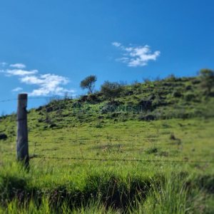 Chácara, no bairro Vila Seca em Caxias do Sul para Comprar