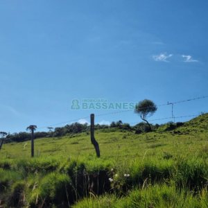 Chácara, no bairro Vila Seca em Caxias do Sul para Comprar