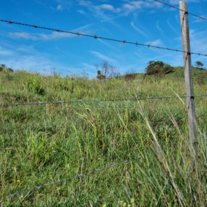 Chácara, no bairro Vila Seca em Caxias do Sul para Comprar