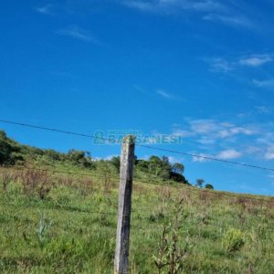 Chácara, no bairro Vila Seca em Caxias do Sul para Comprar