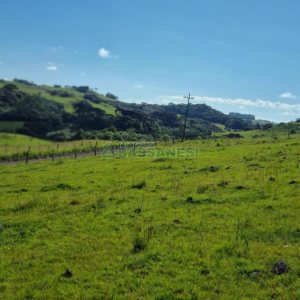 Chácara, no bairro Vila Seca em Caxias do Sul para Comprar