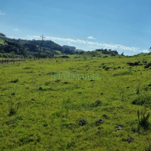 Chácara, no bairro Vila Seca em Caxias do Sul para Comprar