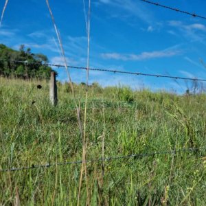 Chácara, no bairro Vila Seca em Caxias do Sul para Comprar
