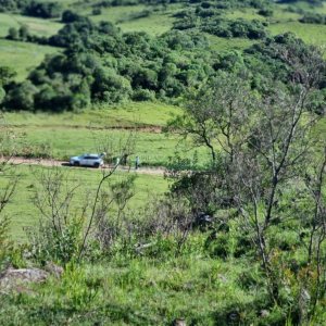Chácara, no bairro Vila Seca em Caxias do Sul para Comprar
