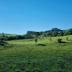 Chácara, no bairro Vila Seca em Caxias do Sul para Comprar