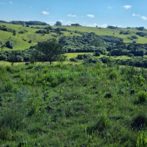 Chácara, no bairro Vila Seca em Caxias do Sul para Comprar