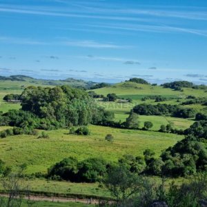 Chácara, no bairro Vila Seca em Caxias do Sul para Comprar