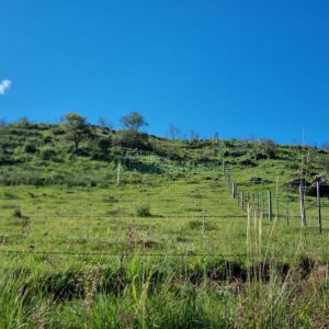 Chácara, no bairro Vila Seca em Caxias do Sul para Comprar