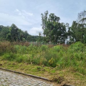 Terreno com 2412m², no bairro De Zorzi em Caxias do Sul para Comprar