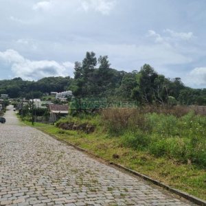 Terreno com 2412m², no bairro De Zorzi em Caxias do Sul para Comprar